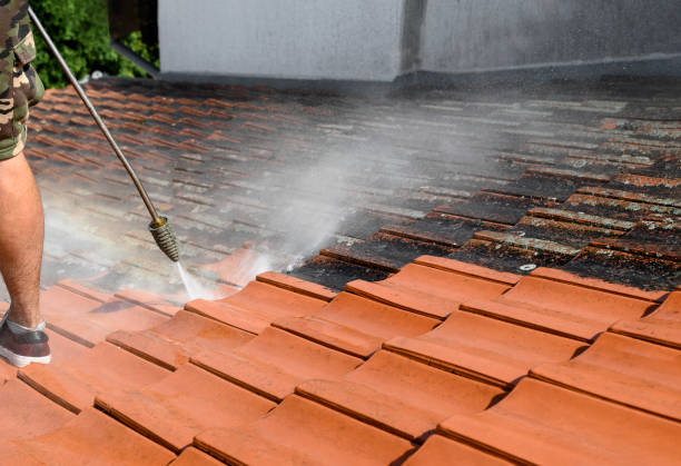 Best Affordable Power Washing  in Eureka, MT